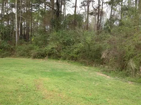 120 Pine Needle Dr, Hubert, NC 28539 photo 34