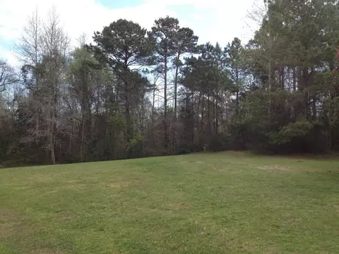 120 Pine Needle Dr, Hubert, NC 28539 photo 29