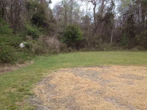 120 Pine Needle Dr, Hubert, NC 28539 photo 33