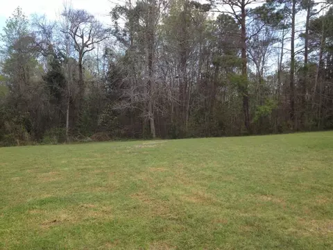 120 Pine Needle Dr, Hubert, NC 28539 photo 30