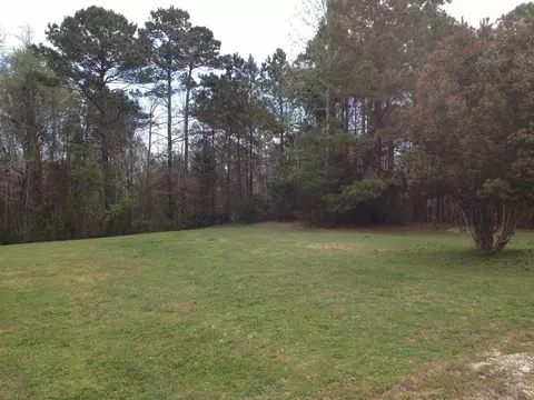 120 Pine Needle Dr, Hubert, NC 28539 photo 27