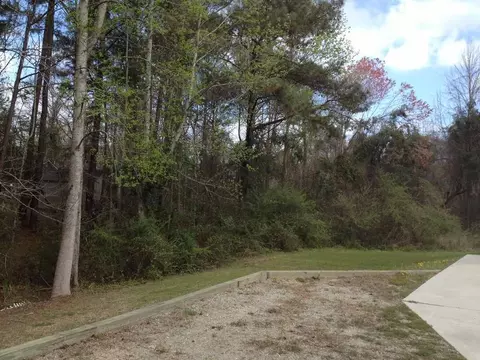 120 Pine Needle Dr, Hubert, NC 28539 photo 26