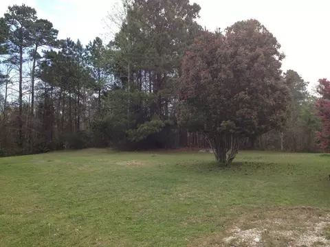 120 Pine Needle Dr, Hubert, NC 28539 photo 28