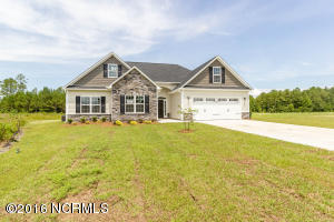 305 Mango Pl N, Hubert, NC 28539 photo 1