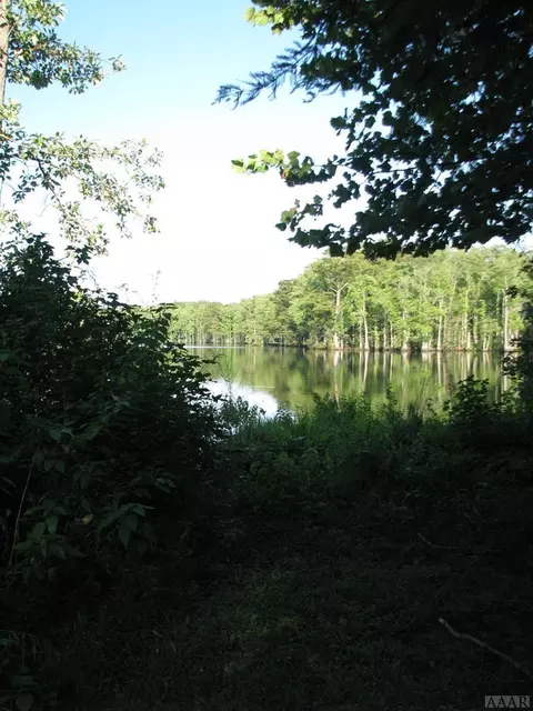 324 Blanchards Rd, Windsor, NC 27892 photo 5