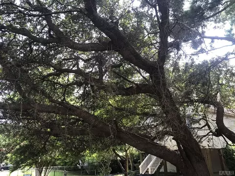 1604 Ketch Ln, Kill Devil Hills, NC 27948 photo 31