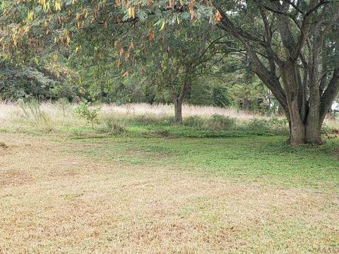 432 Daniels Rd, Corapeake, NC 27926 photo 9