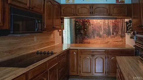 270 Tuggie Eure Rd, Eure, NC 27935 photo 13