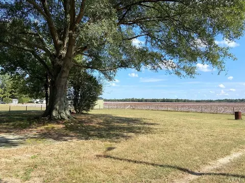 847 Pine Tops Rd, Murfreesboro, NC 27855 photo 9