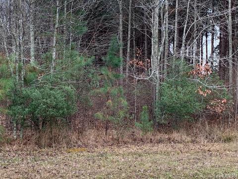 217 Winfall Cir, Edenton, NC 27932 photo 5