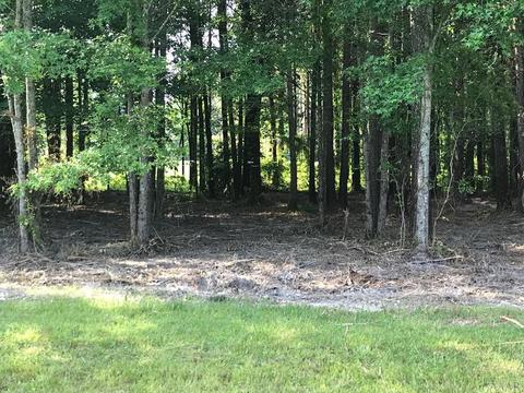 217 Winfall Cir, Edenton, NC 27932 photo 17