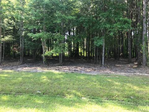 217 Winfall Cir, Edenton, NC 27932 photo 14