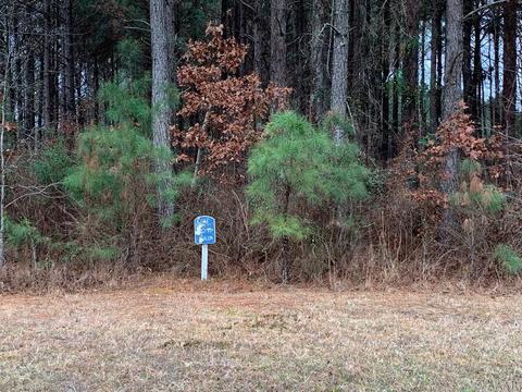 217 Winfall Cir, Edenton, NC 27932 photo 2
