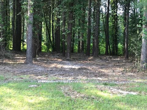 217 Winfall Cir, Edenton, NC 27932 photo 6