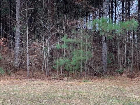 217 Winfall Cir, Edenton, NC 27932 photo 18