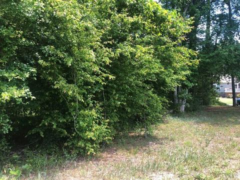 809 Arrowhead Trl, Edenton, NC 27932 photo 2