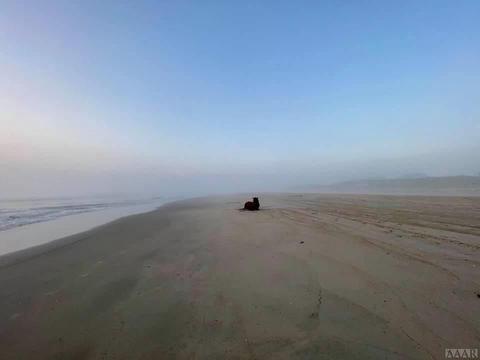 1670 Sandpiper Rd, Corolla, NC 27927 photo 45