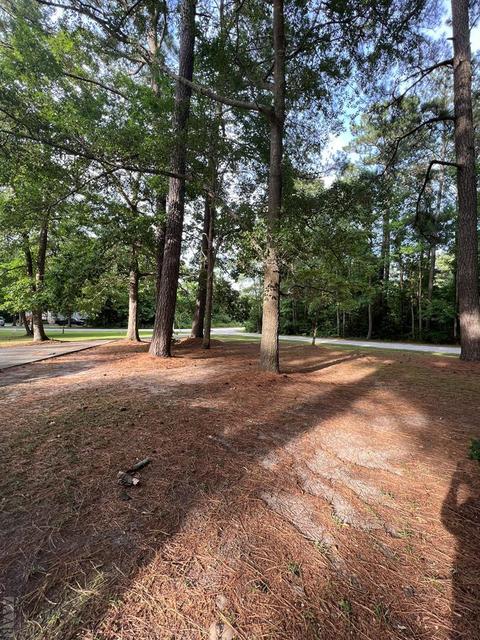 100 Hutton Ct, Grandy, NC 27939 photo 3