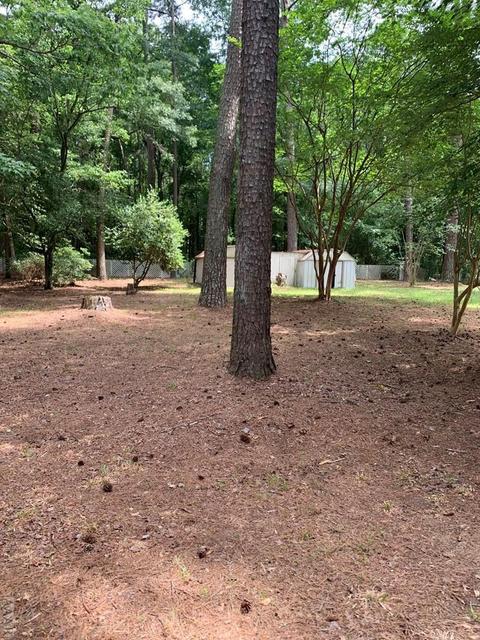 143 Millennium Rd, Aulander, NC 27805 photo 9