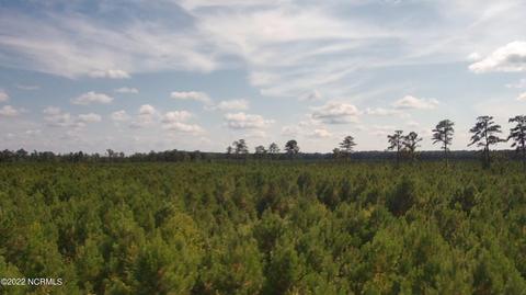222 Early Rd, Aulander, NC 27805 photo 3