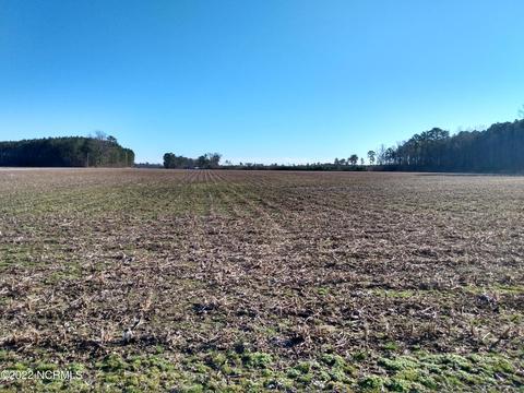 222 Early Rd, Aulander, NC 27805 photo 6