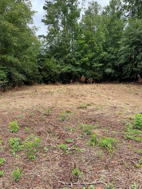 403 Apache Trl, Edenton, NC 27932 photo 4