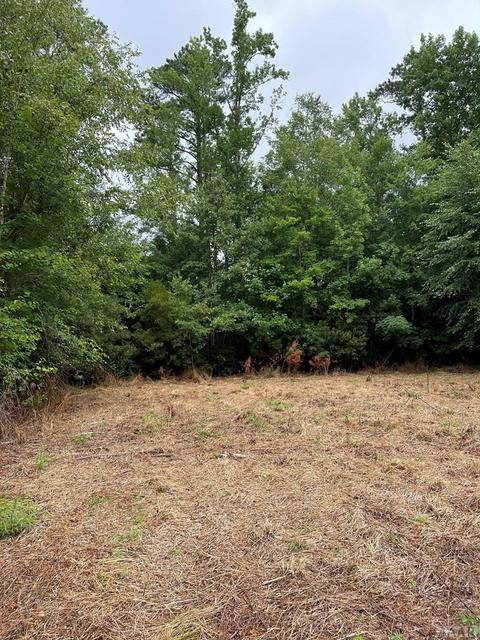 403 Apache Trl, Edenton, NC 27932 photo 3