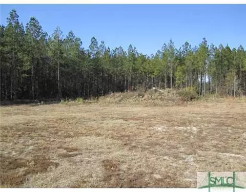 Undisclosed, Guyton, GA 31312 photo 3