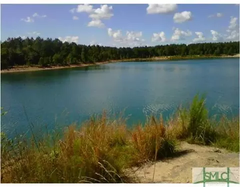 217 Cattle Run Way, Pooler, GA 31322 photo 8