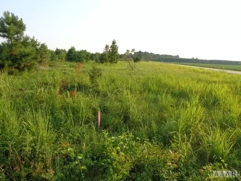 80 Kellogg Fork Rd, Sunbury, NC 27979 photo 1