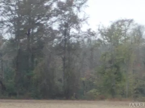 438 Chambers Ferry Rd, Edenton, NC 27932 photo 4