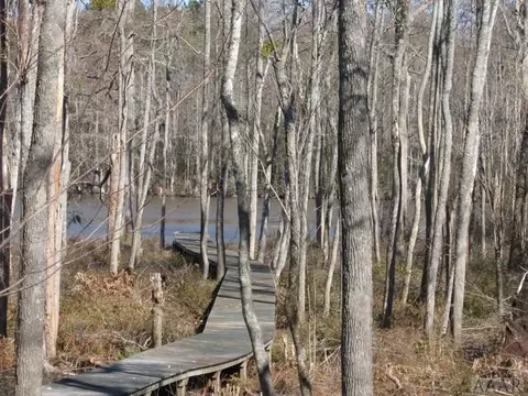 242 Pine Point Rd, Hertford, NC 27944 photo 17