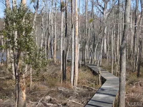 242 Pine Point Rd, Hertford, NC 27944 photo 9