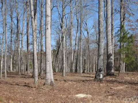 242 Pine Point Rd, Hertford, NC 27944 photo 3