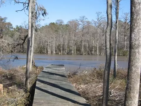 242 Pine Point Rd, Hertford, NC 27944 photo 11