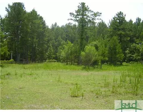 193 Douglas Rd, Springfield, GA 31329 photo 7