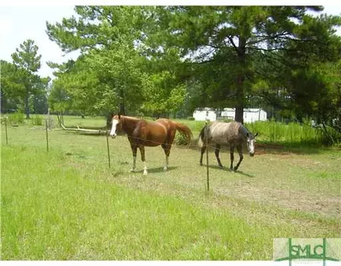 193 Douglas Rd, Springfield, GA 31329 photo 8