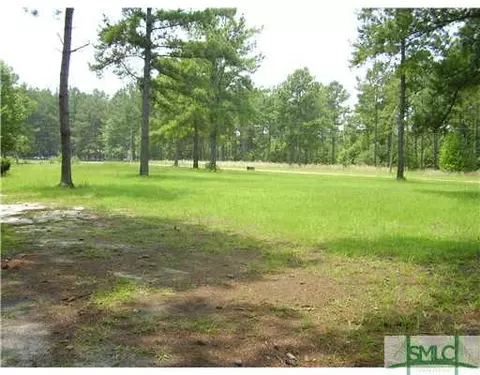 193 Douglas Rd, Springfield, GA 31329 photo 4