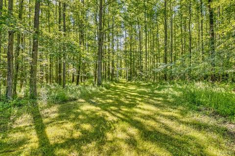 343 Tuggie Eure Rd, Eure, NC 27935 photo 19