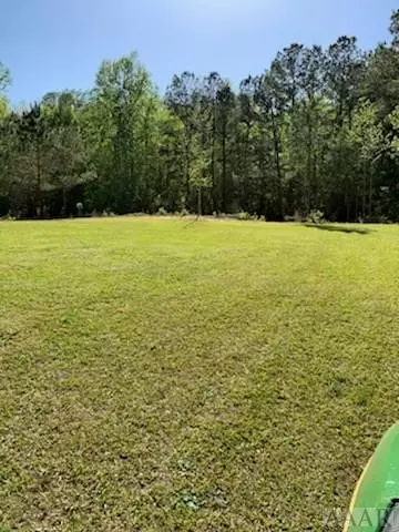 237 Ferris Dr, Roper, NC 27970 photo 17