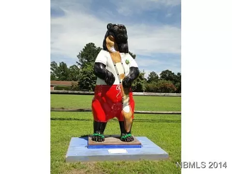 1101 Devonshire Dr, New Bern, NC 28562 photo 18