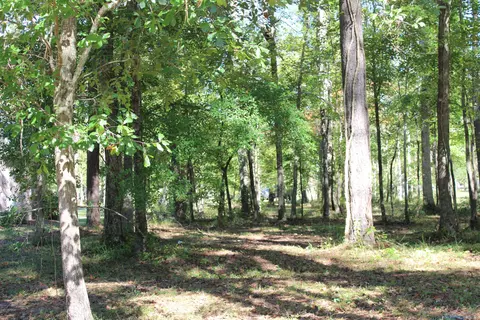 4551 Moss Bnd, New Bern, NC 28562 photo 9