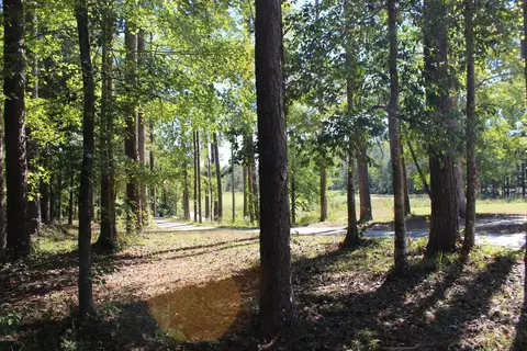 4551 Moss Bnd, New Bern, NC 28562 photo 10