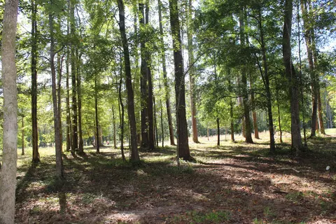 4551 Moss Bnd, New Bern, NC 28562 photo 13