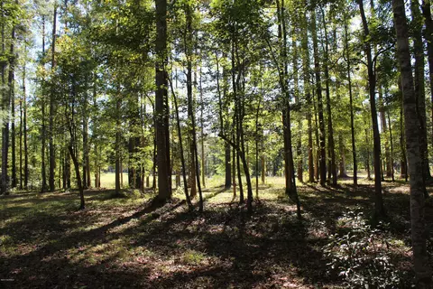 4551 Moss Bnd, New Bern, NC 28562 photo 12