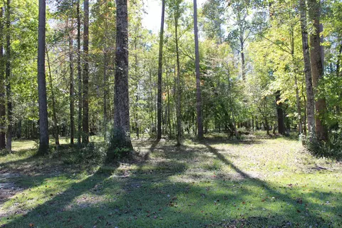 4551 Moss Bnd, New Bern, NC 28562 photo 4