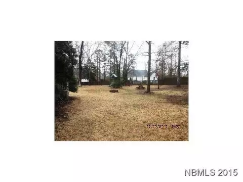 2403 Oakview Dr, New Bern, NC 28562 photo 15