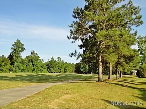 208 Arbon Ct, New Bern, NC 28562 photo 36