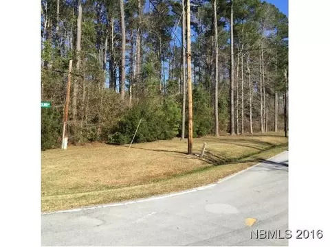 110 Battleground Ave, New Bern, NC 28560 photo 1