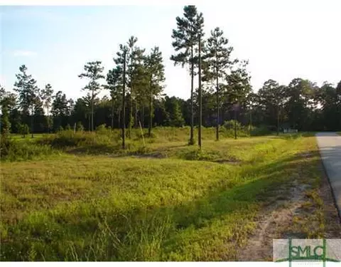 101 Runs Crossing Dr, Springfield, GA 31329 photo 5